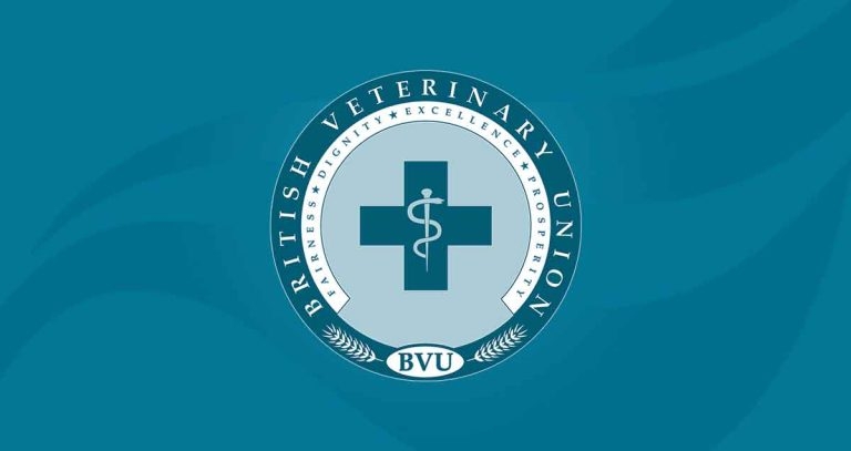 EMS needs ‘revolutionising’ to help solve workforce crisis, BVU warns