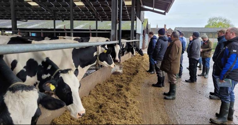 Canadian vet leads transition cow roadshow for XLVets