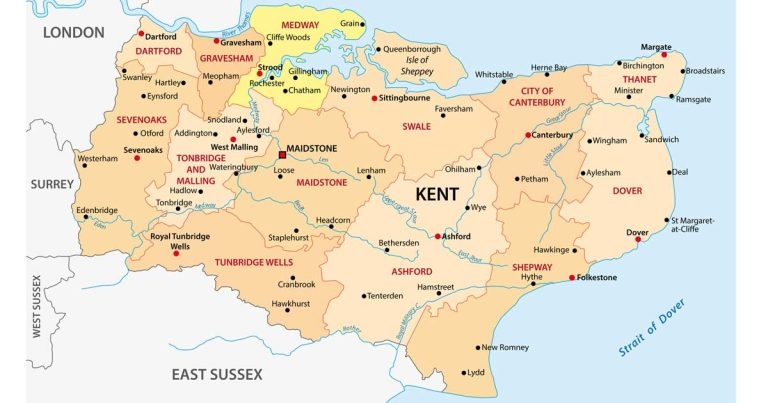 First 2024 bluetongue case confirmed in Kent