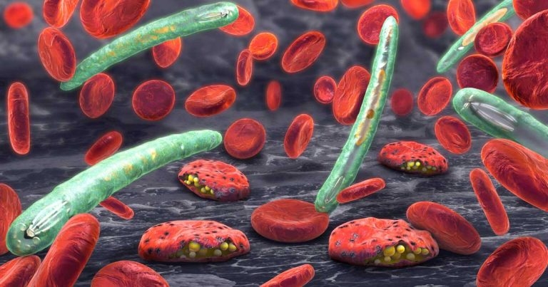 RVC researchers see ‘exciting’ advance towards malaria vaccine