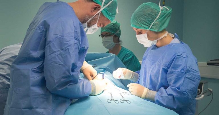 Knowledge swap scheme set to grow in 2024