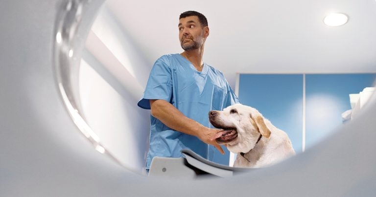 Advanced imaging – expensive luxury or essential tool?