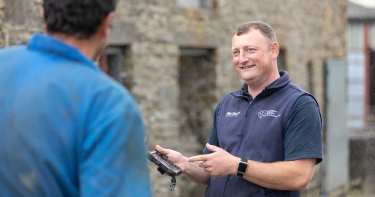 New head for IVC Evidensia farm animal clinical board