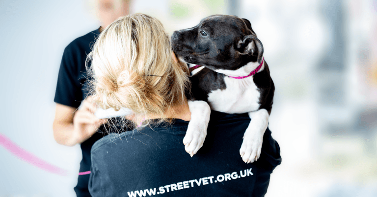 VetPartners makes StreetVet its charity for 2024