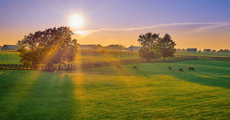 The worms have turned: an update on anthelmintic resistance