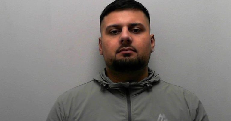 Man jailed for vet ‘punishment beating’ over XL bully death