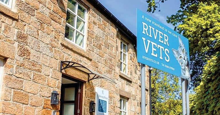 Practice Profile: River Veterinary Care