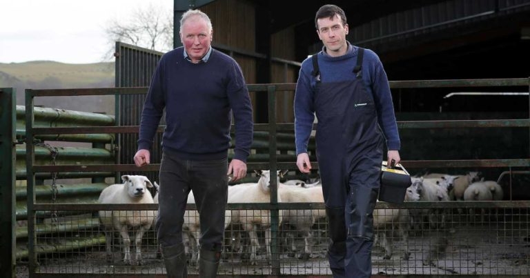 Farmer and vet issue resistance warning after sepsis ordeal