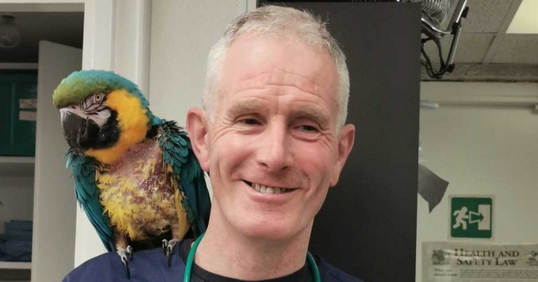 ‘Our team will never be the same’: colleagues honour ‘fantastic‘ vet