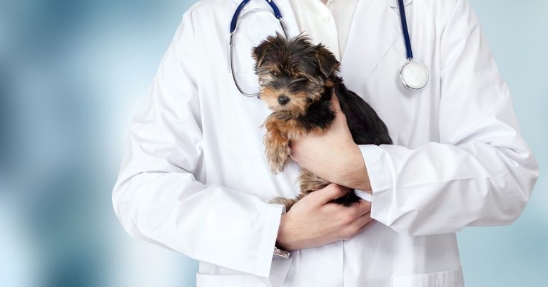 Rethinking our council structure