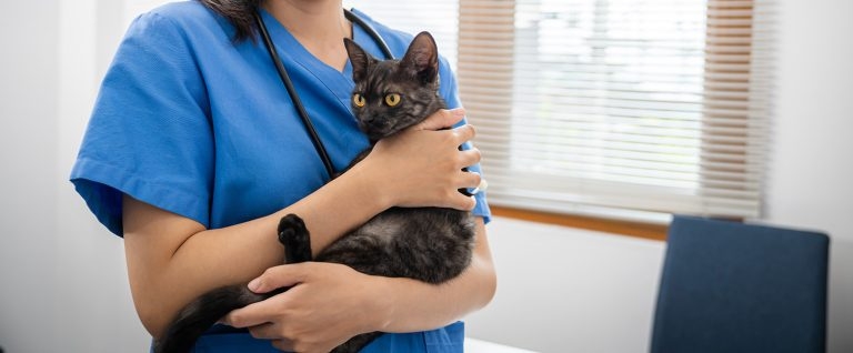 Exit report shows ‘no mass exodus’ despite ongoing recruitment fears