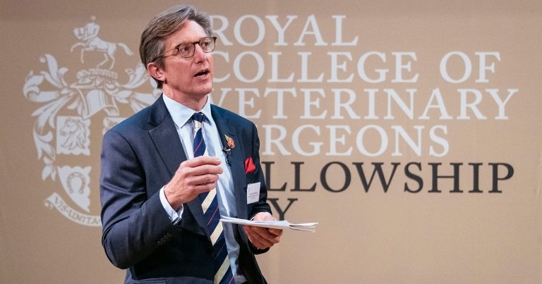 RCVS Fellowship Board head steps down