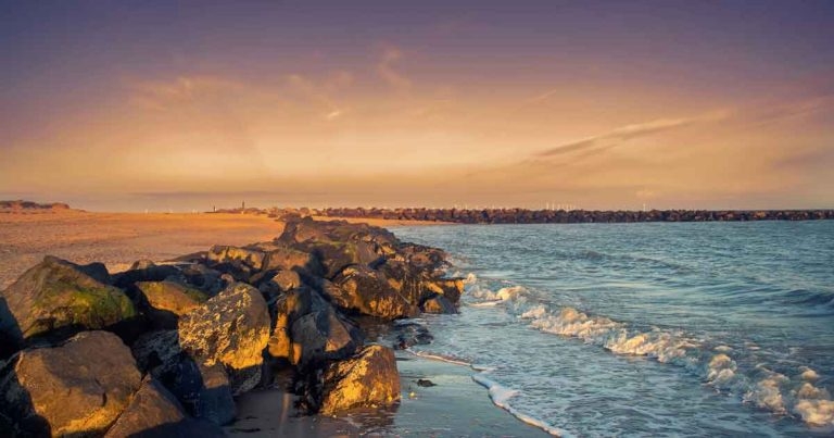 Fatal dog attack breed confirmation ‘could take days’ – police