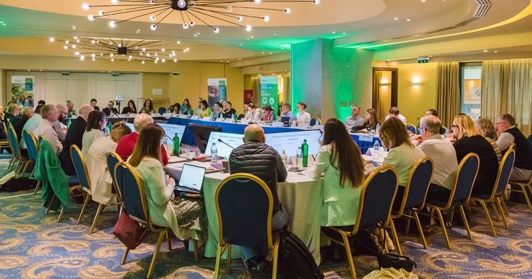 An expert perspective on cat parasites and public health