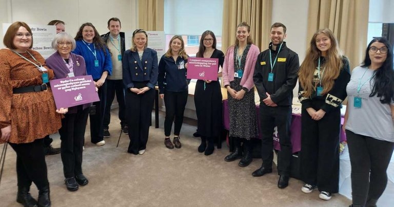 Cats Protection wants Welsh politicians to catch up on microchipping