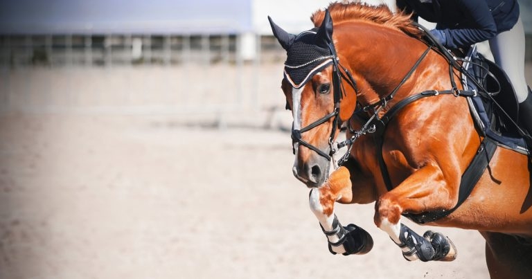 Performance: what are the treatment options?