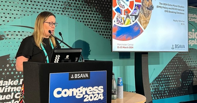 EMS reforms ‘will address placement safety concerns’ – RCVS