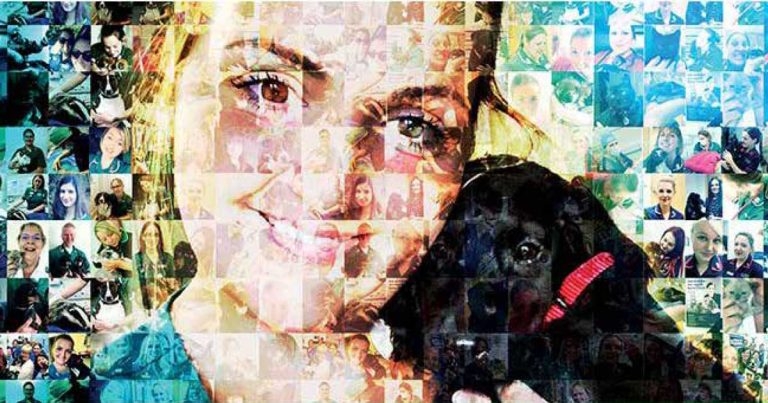 Progression theme unveiled for BVNA Congress