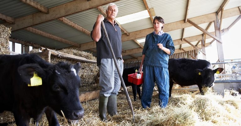 Communicating calf scour messages to farming clients