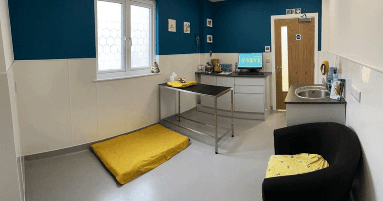 Creating dog-friendly clinics to help behaviour and welfare