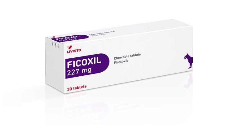 Forte Healthcare rolls out chewable pain tablet for dogs