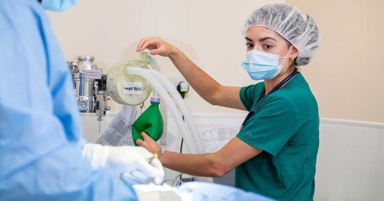 CVTC first to offer vet nurse ECC diploma