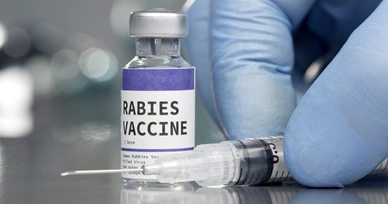 Rabies: spotting signs and disease diagnosis