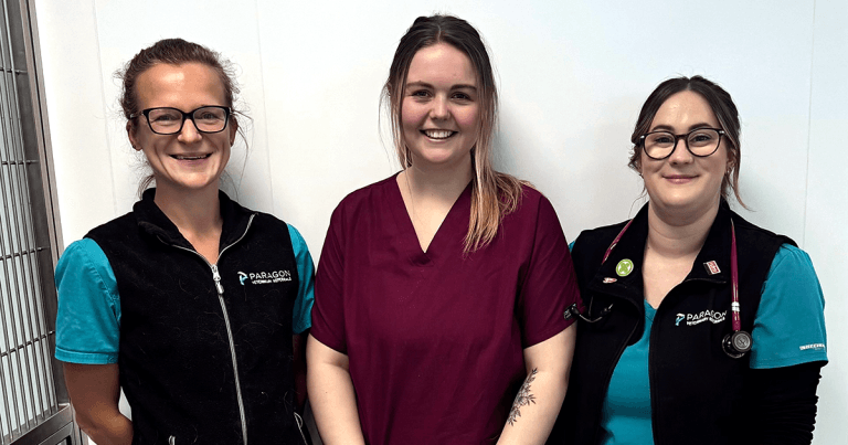 Vet hospital secures four reaccreditations on sixth anniversary