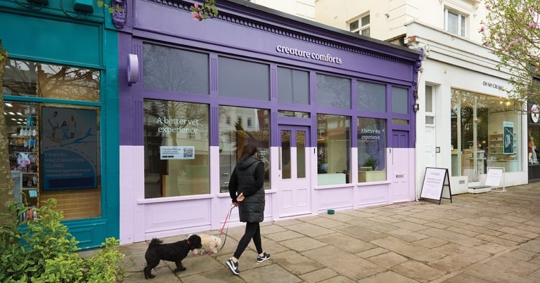 Practice Profile: Creature Comforts