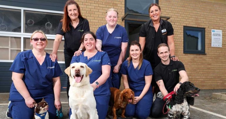 Group unveils plan for Cleveland practice