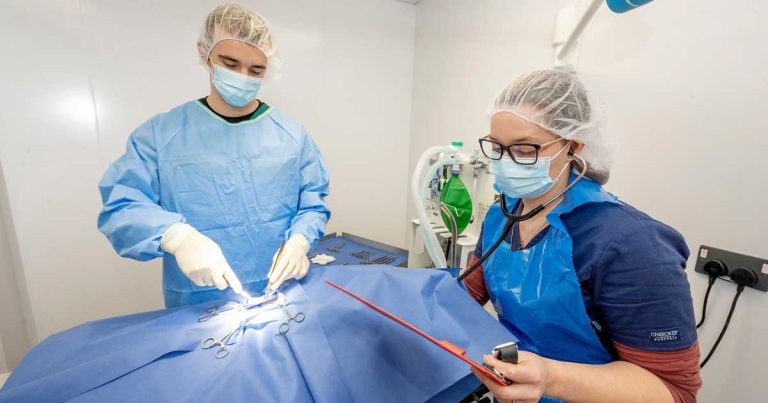 CVS ECC training programme goes live