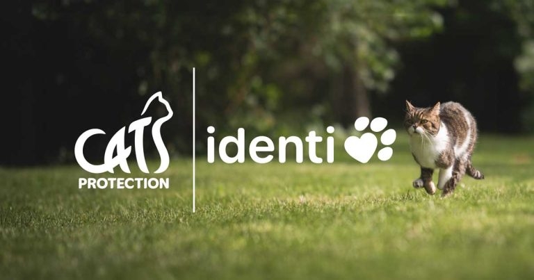 Identi partners with Cats Protection to provide microchips