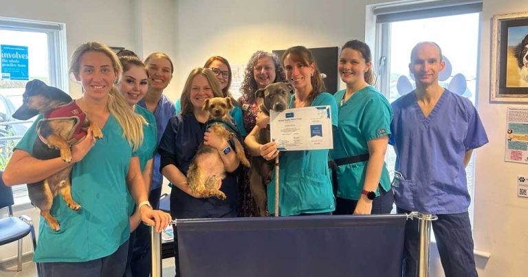 Less is more for referral practice with new global pain accreditation