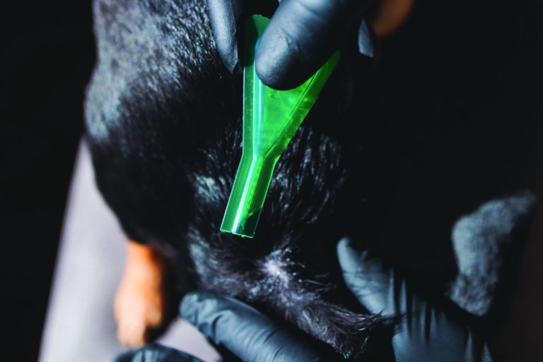 Vets urged to engage with parasite treatment debate