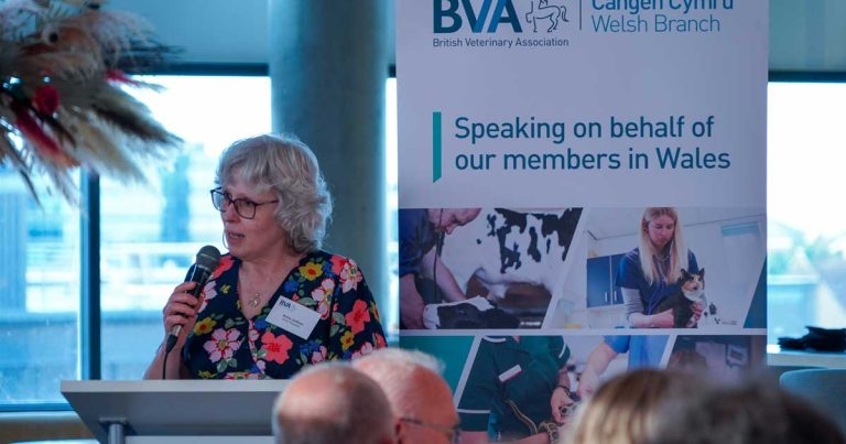 BVA president hails licensing scheme, but issues funding warning