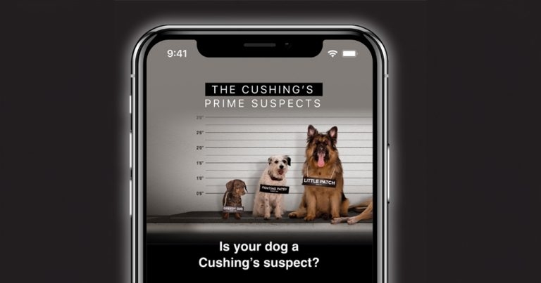 Dechra launches Cushing’s disease monitoring app