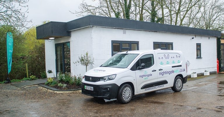 Practice Profile: Nightingale Vets