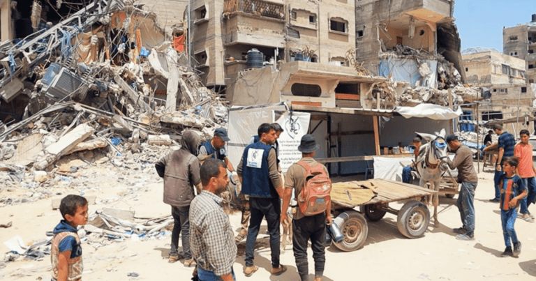 Vet in a war zone – offering a lifeline to Gazan animals