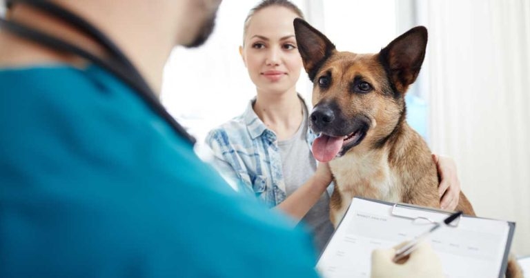 Sector ‘must unite to heal CMA wounds’ plea