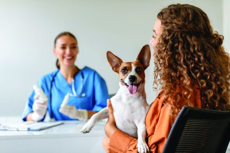 Vets urged to have say on CMA ideas for sector reform