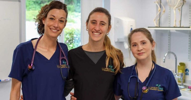 Lumbry Park nets hat-trick of new specialists