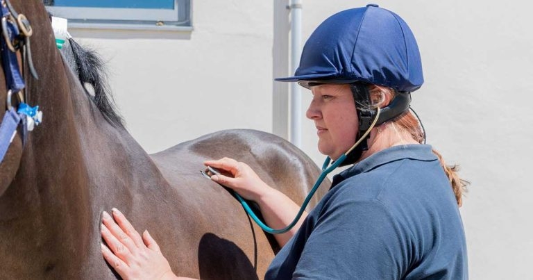 Research shows equine clients in favour of greater vet nurse involvement