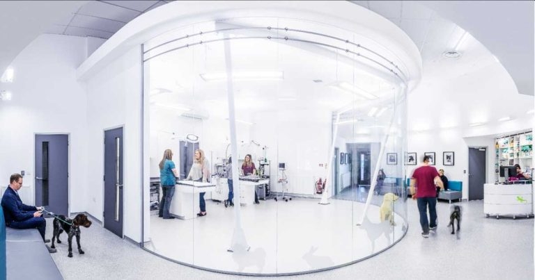 Pets’ Kitchen to focus on vet services after food brand sale