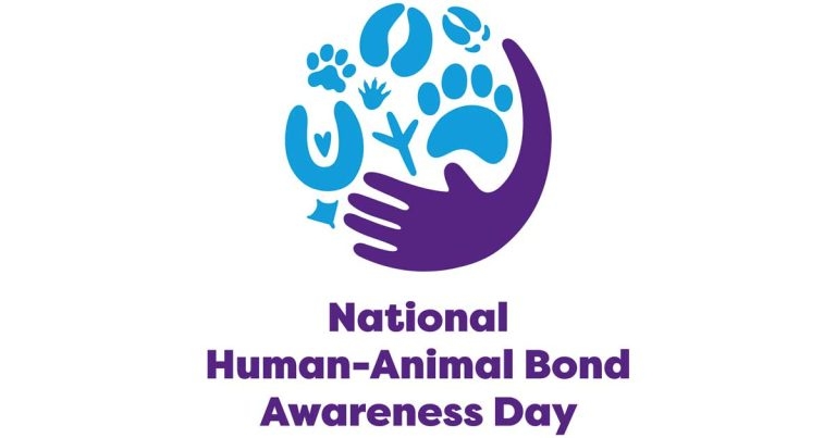 Human-animal bond day returns