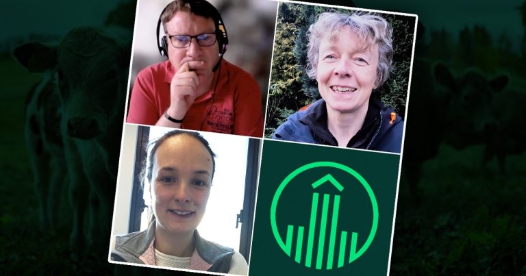 Vet Times Extra: NSAID use in young calves, with Ginny Sherwin and Kath Aplin