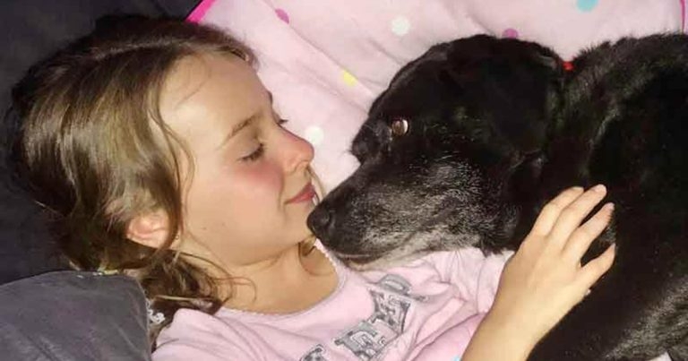 Pet owner perceptions of parasitic infections and treatment