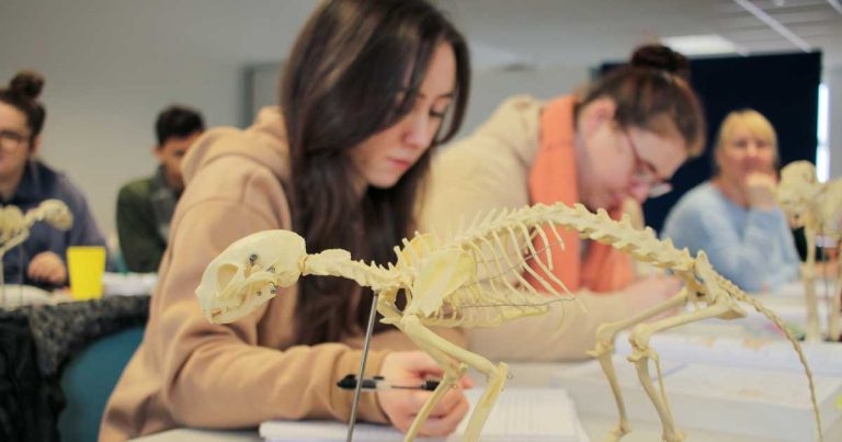 New nurse training centre for CVS