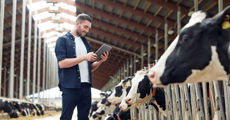 BRD: impact on herds and improving vet involvement