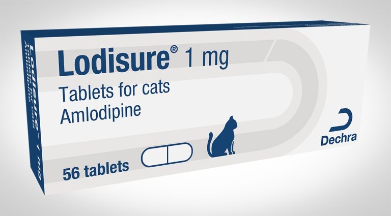 New treatment option for feline hypertension launched