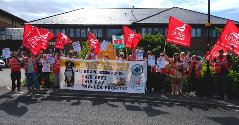 Valley Vets to close all branch practices